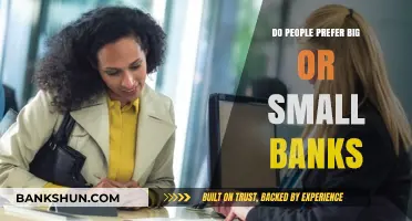 Big vs Small Banks: What Do Customers Prefer?