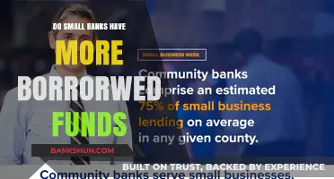 Small Banks: Borrowing More, Lending More?