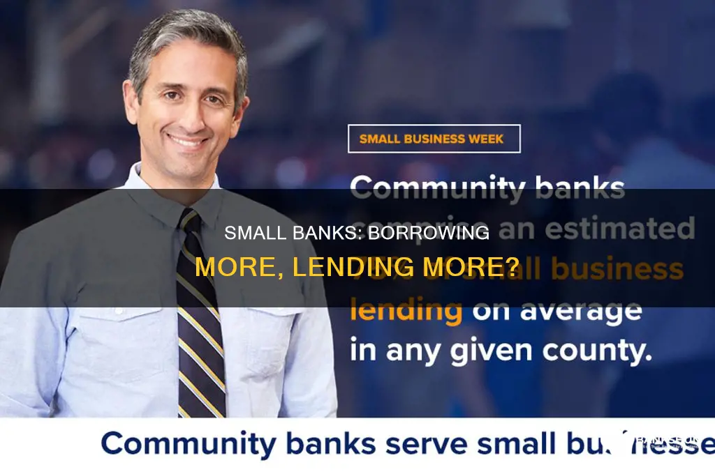 do small banks have more borrorwed funds