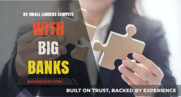 Small Lenders: Can They Compete With Big Banks?