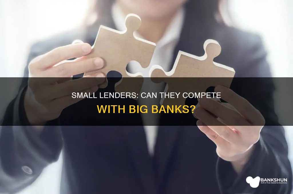 do small lenders compete with big banks