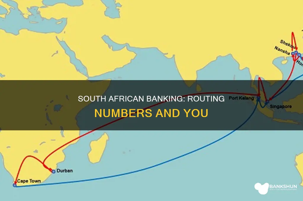 do south african banks have routing numbers