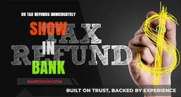 When Will My Tax Refund Show in My Bank Account?