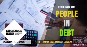 The Debt Trap: Banks and Their Incentives