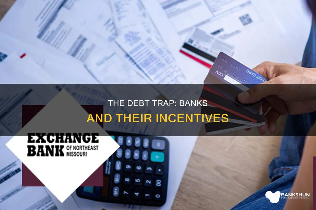 do the banks want people in debt