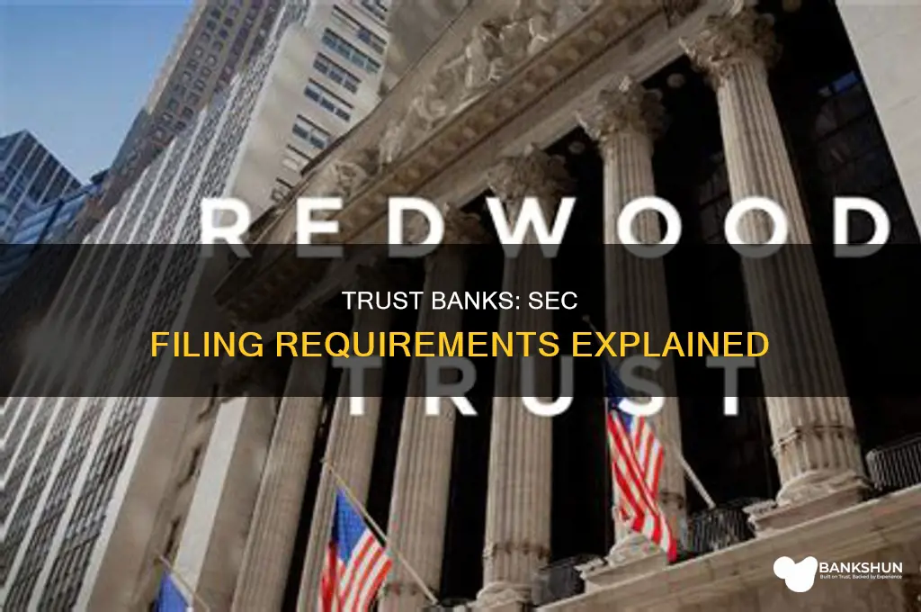 do trust banks file with the sec