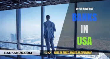 UAE Banks in the USA: Where and How?