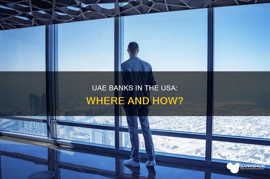 do we have uae banks in usa