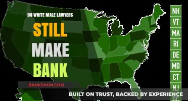 Lawyer Salary: White Male Bankability?