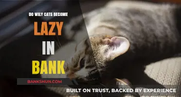 How Banks Make Wild Cats Lazy