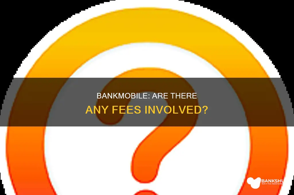 do you have fees with bank mobile