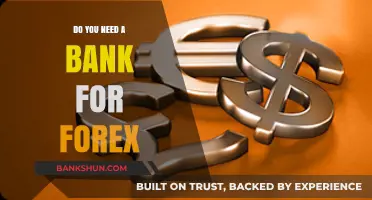 Forex Trading: Do You Need a Bank Account?