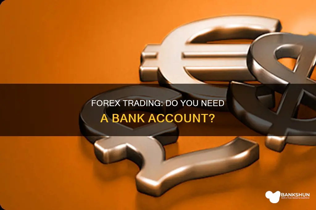 do you need a bank for forex