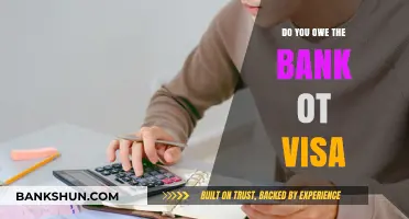 Understanding Debt: Visa vs Bank Loans
