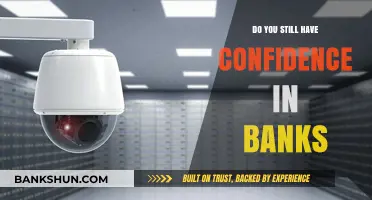 Trust in Banks: Is It Still Justified?