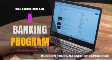 Using Chromebooks for Banking: Is It Safe?