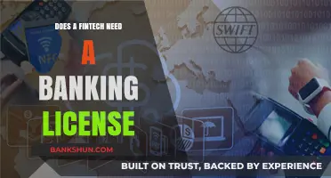 Fintech's Future: Bank License or Not?