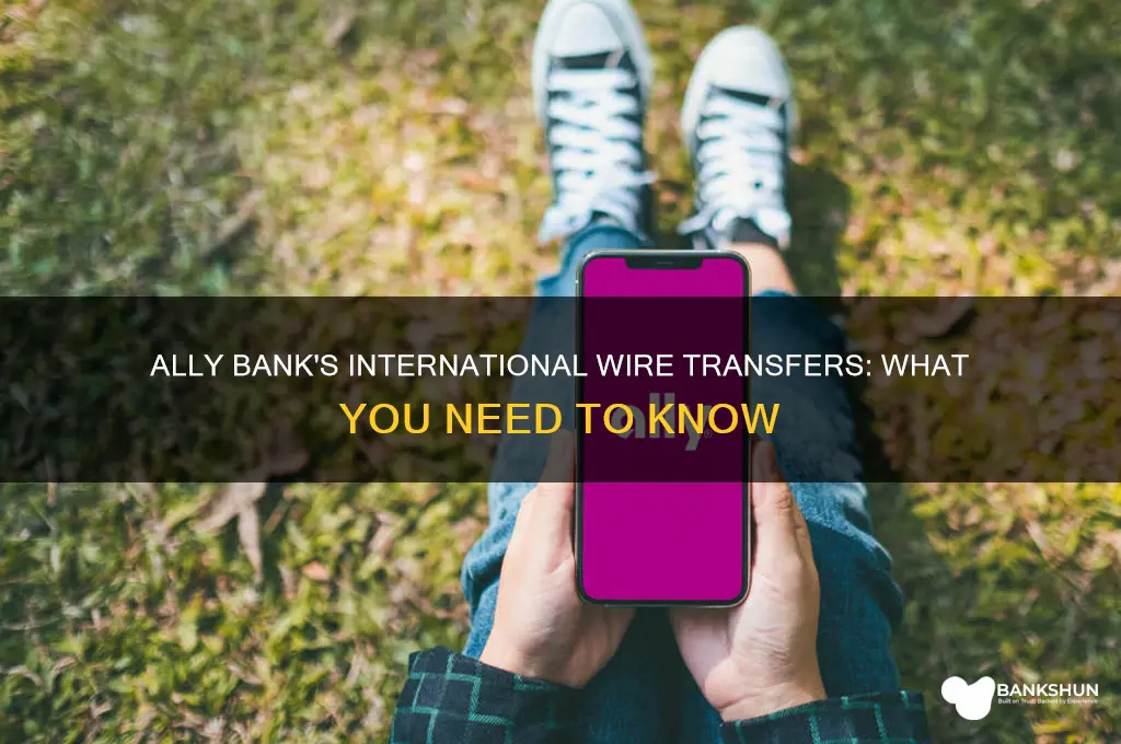 does ally bank do international wire transfers