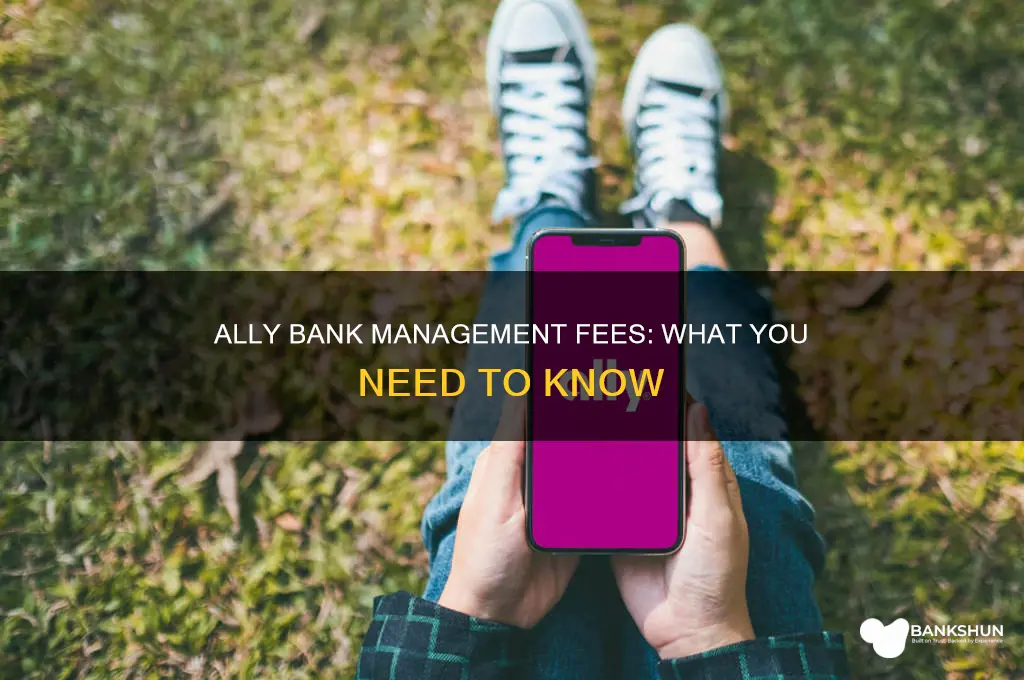 does ally bank have a management fee