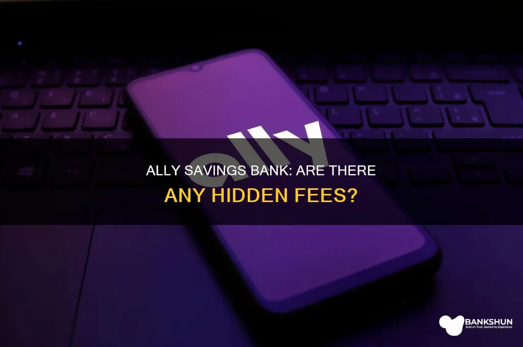 does ally savings bank have any fees