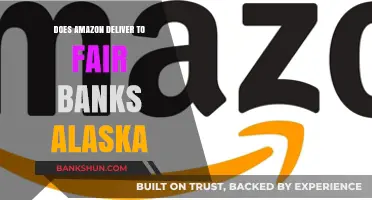 Amazon Delivery Options in Fairbanks, Alaska