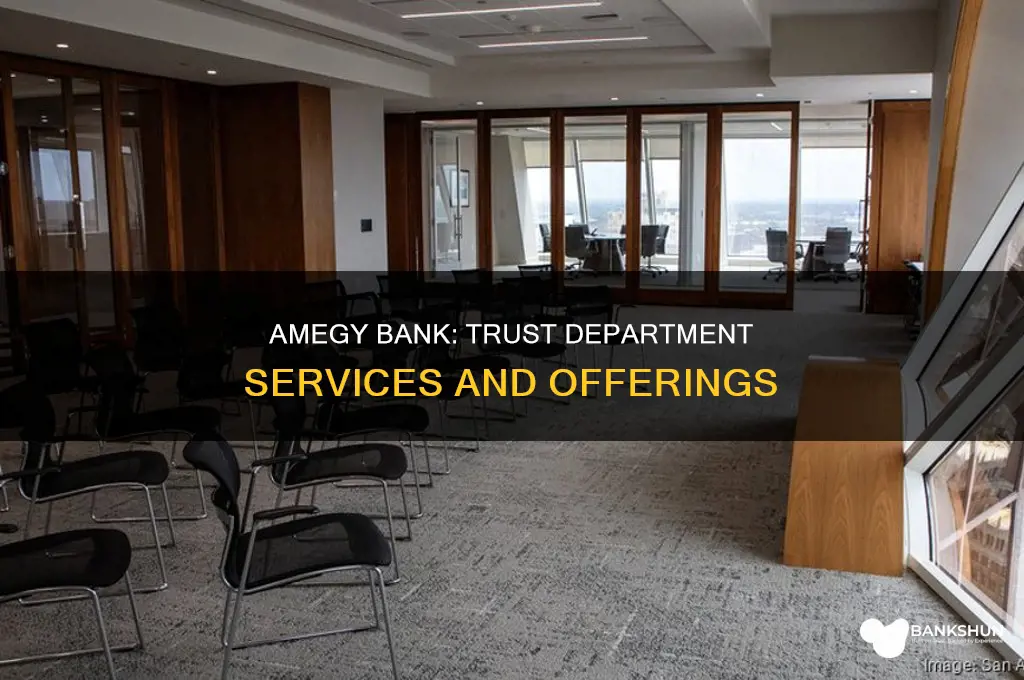 does amegy bank have a trust drparyment