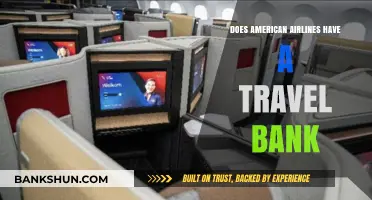 Travel Bank: American Airlines' Reward System Explained