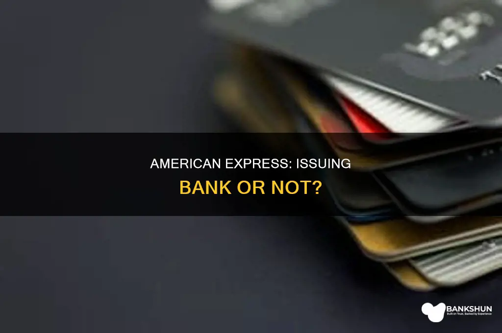 does american express have an issuing bank