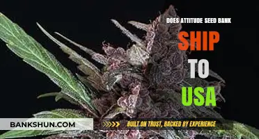 Attitude Seed Bank: Shipping to the USA?