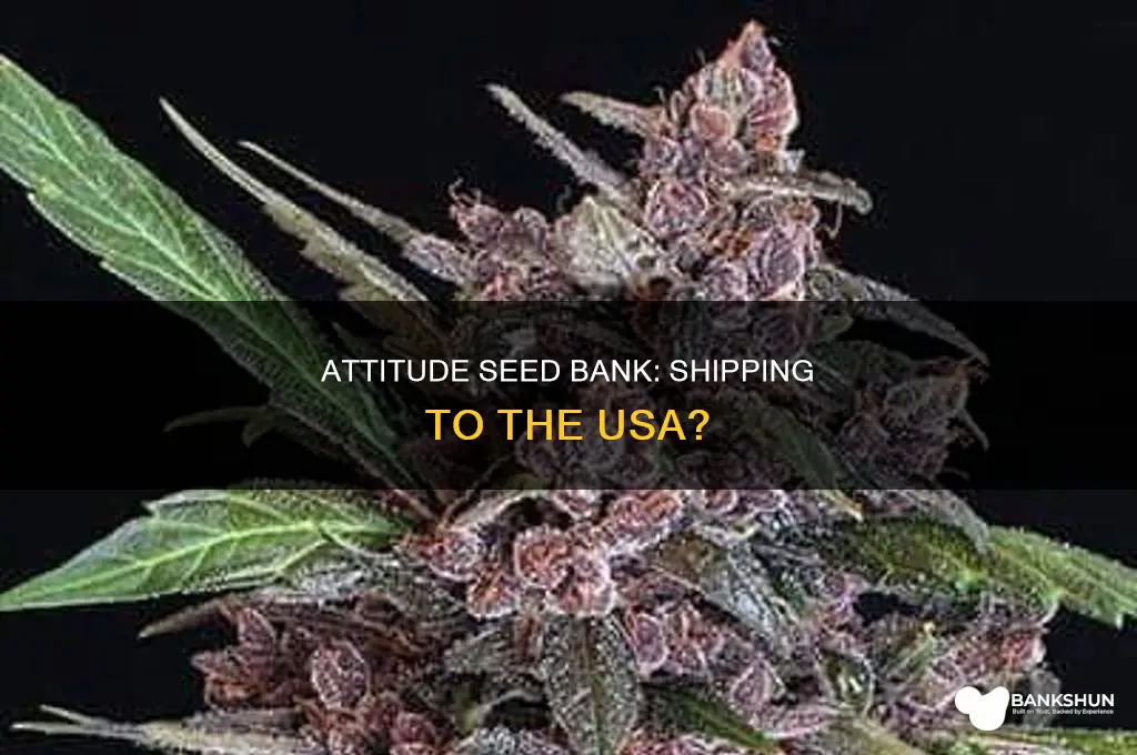 does attitude seed bank ship to usa