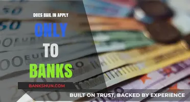 Bail-in Resolutions: Banks and Beyond