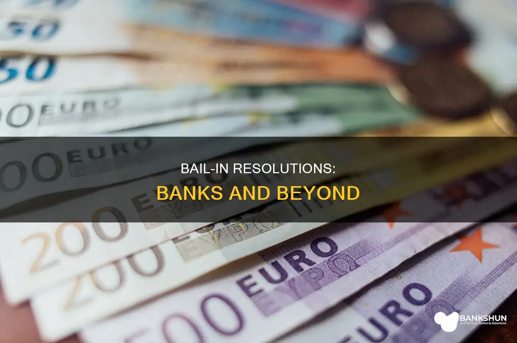 does bail in apply only to banks
