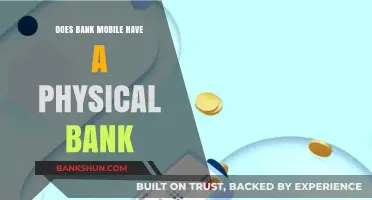BankMobile: Physical Branches or Digital-Only?