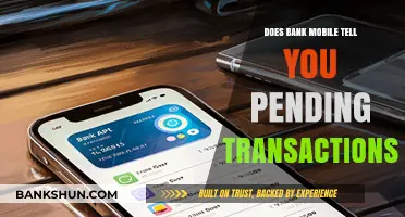 How Bank Mobile Keeps You Informed About Pending Transactions
