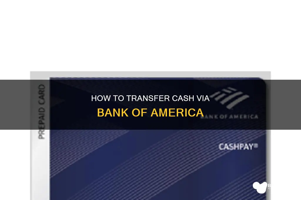 does bank of ameria accept cash transfers