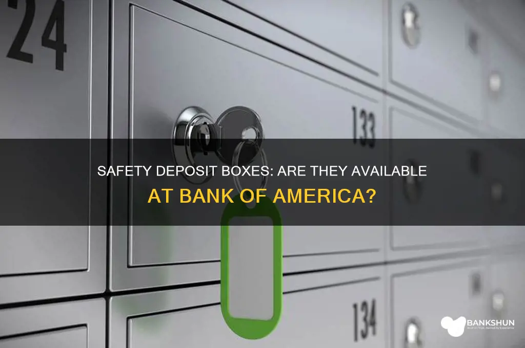 does bank of american have safety boxes