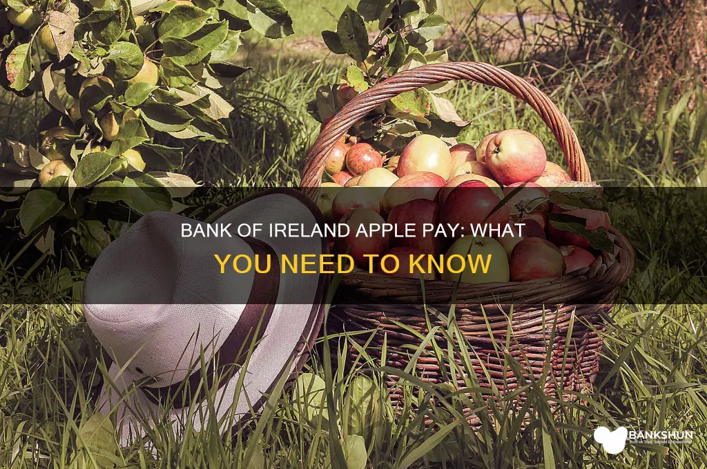 does bank of ireland have apple pay