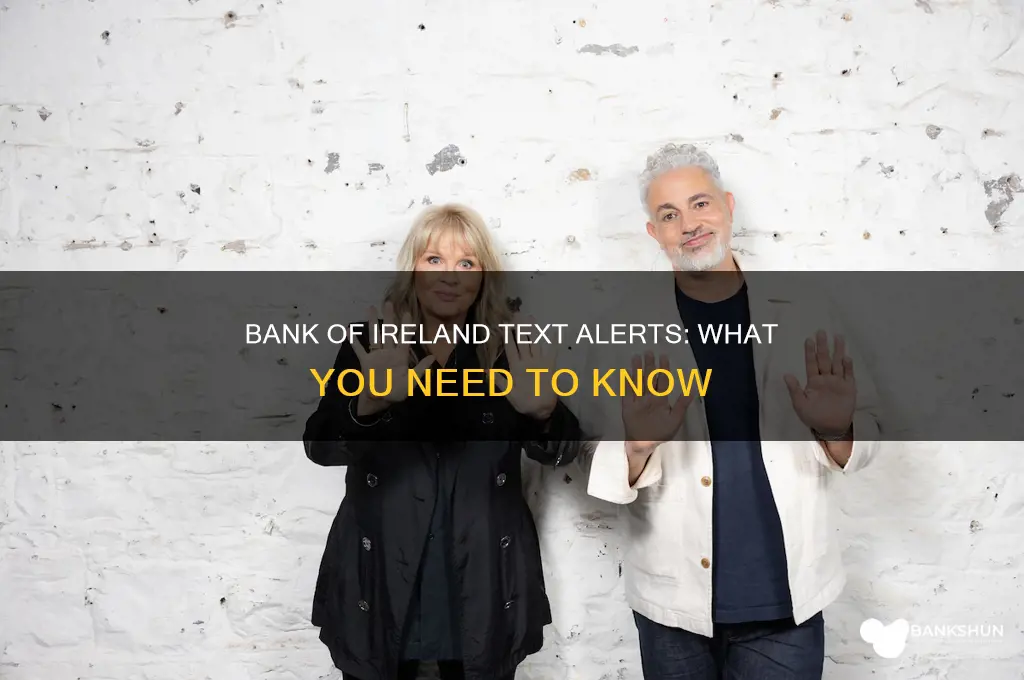 does bank of ireland send text messages