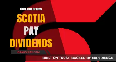 Scotia Bank's Dividend Payment System: What You Need to Know