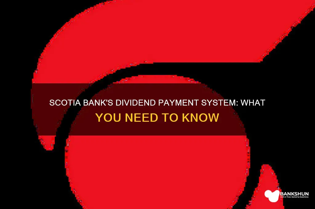 does bank of nova scotia pay dividends