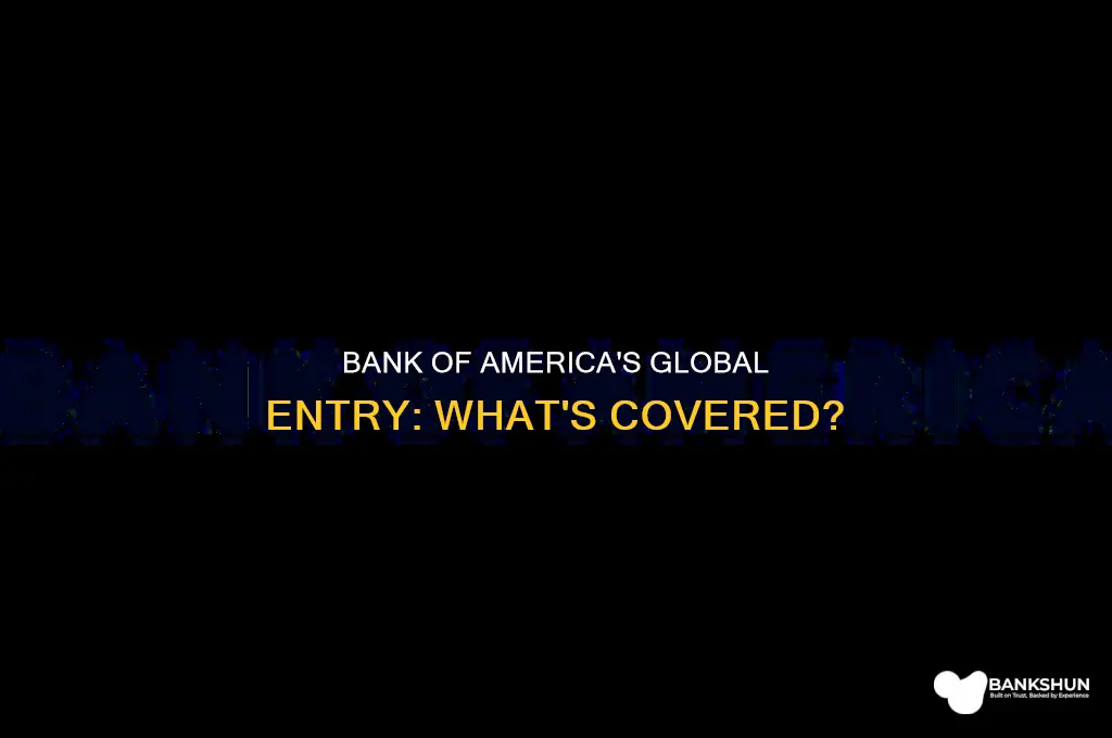 does bank of wmerica cover global ent4y