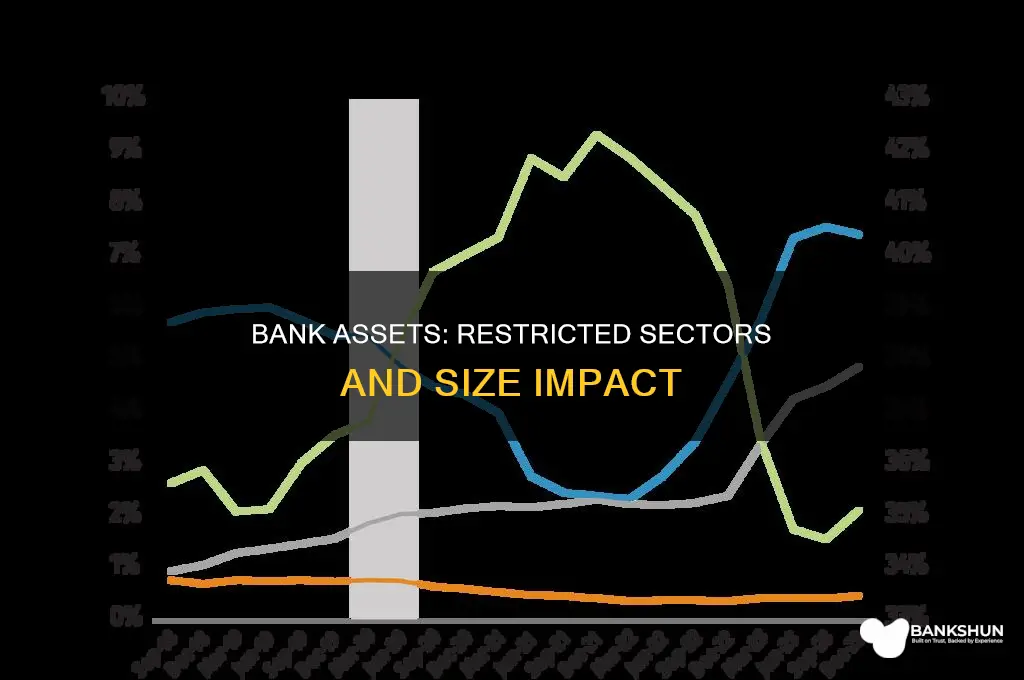 does bank size in assets include restricted