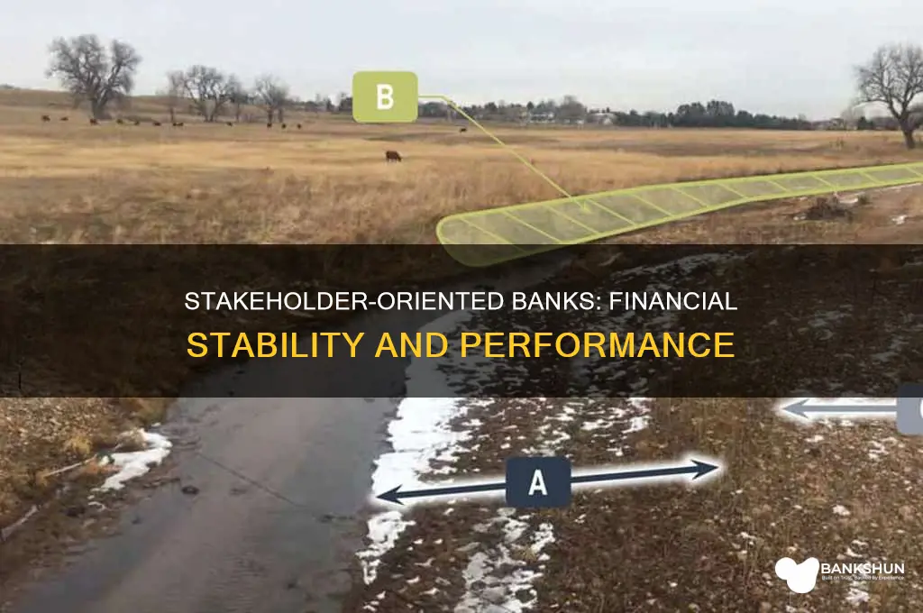 does bank stakeholder orientation enhance financial stability