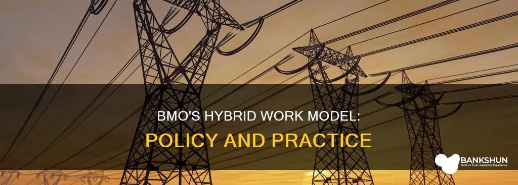 does bmo bank policy on hybrid roles