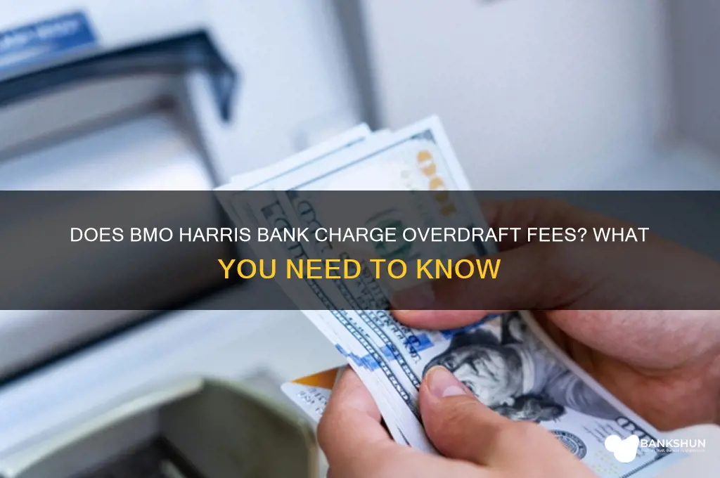 does bmo harris bank have overdraft fee