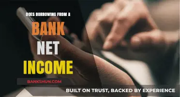 Bank Borrowing Impact: Does It Boost Your Net Income?