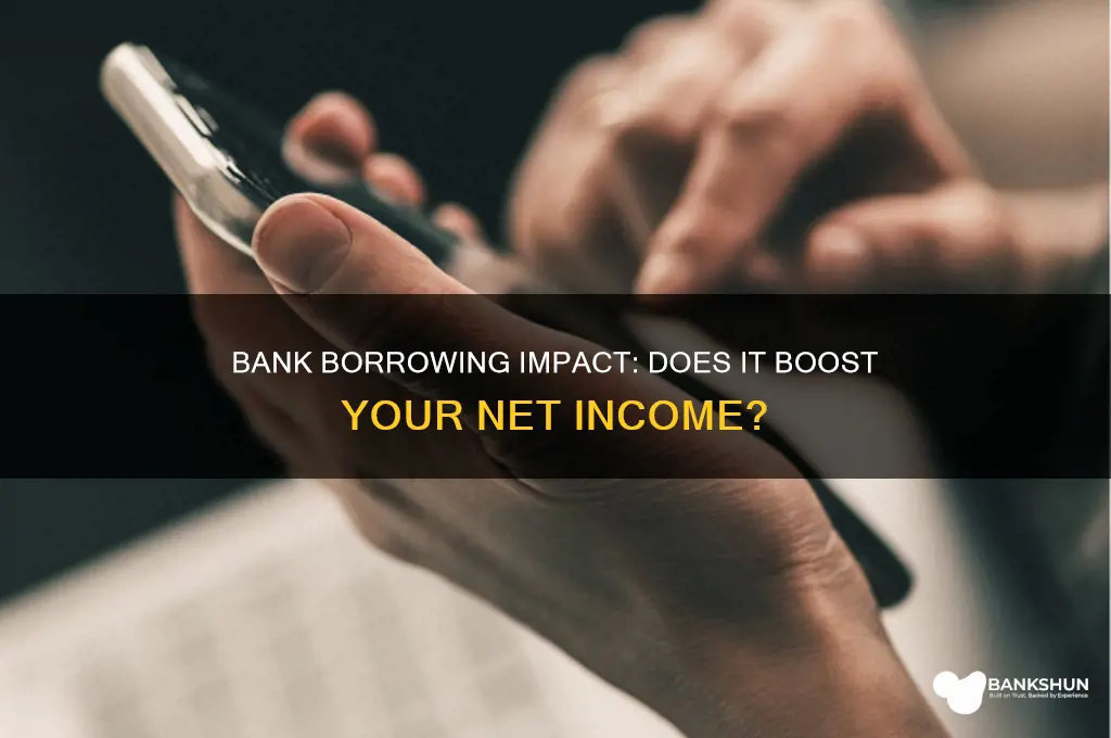does borrowing from a bank net income