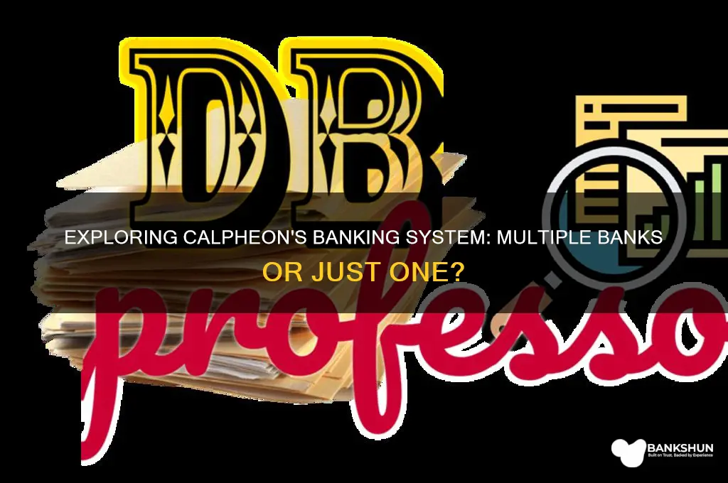 does calpheon have more than one bank