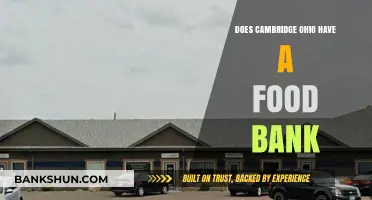 Cambridge Ohio Food Bank: Availability and Community Support Explained