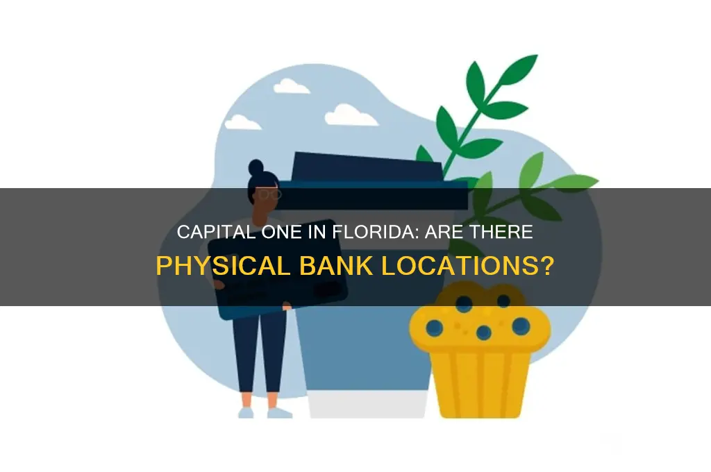 does capital one have banks in florida